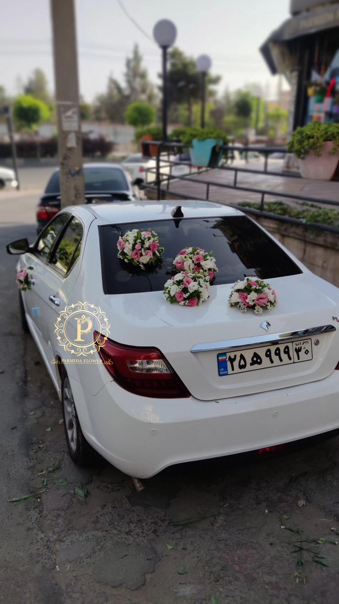 لیسینتوس،زنبوری