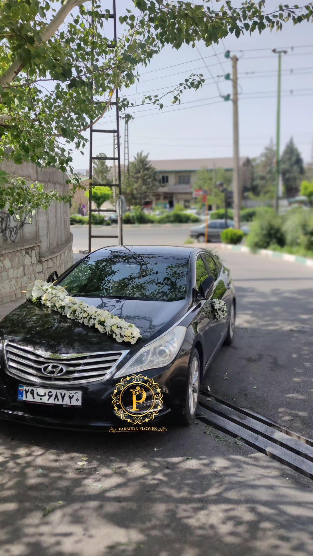 لیسینتوس،آنتریوم