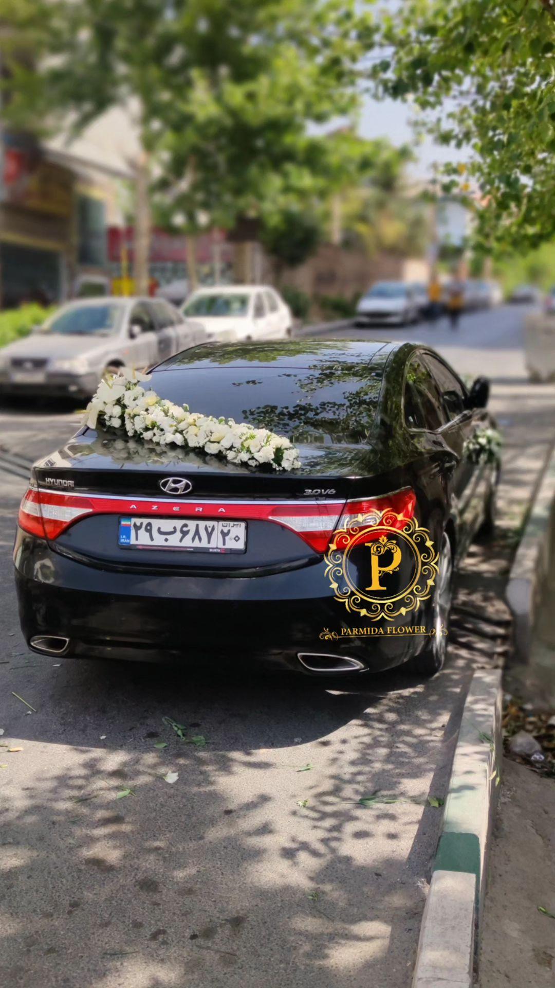 لیسینتوس،آنتریوم