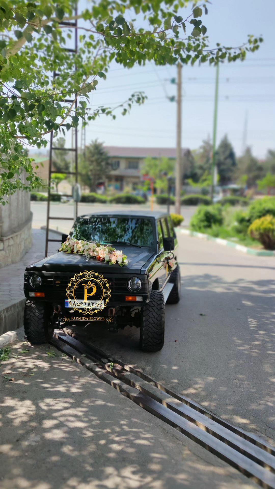 لیسینتوس