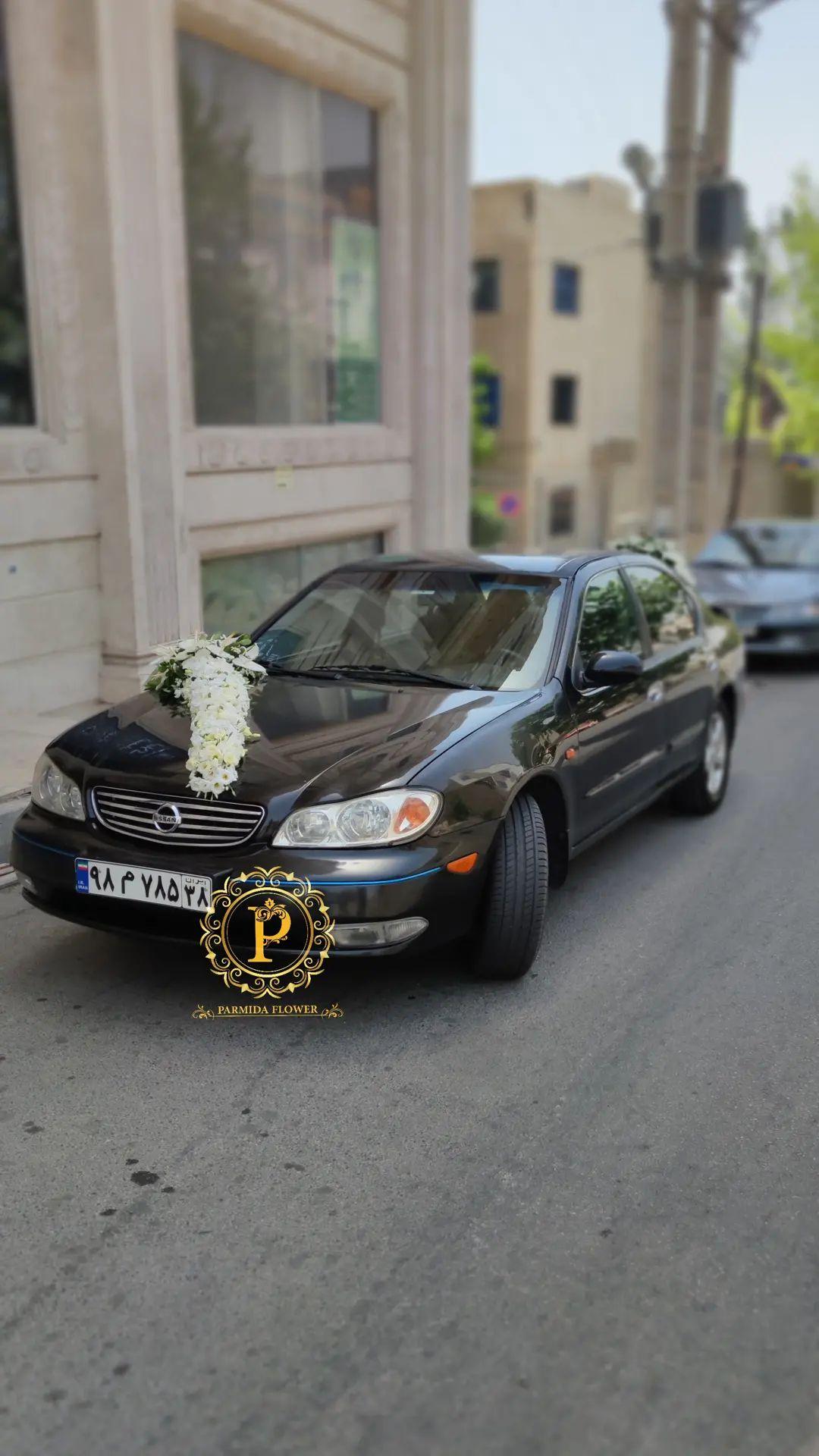 لیسینتوس،آنتریوم