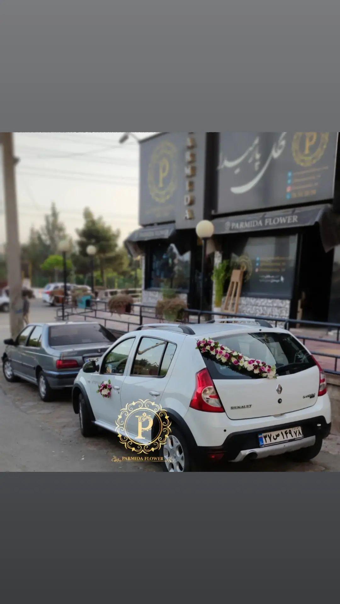 داوودی