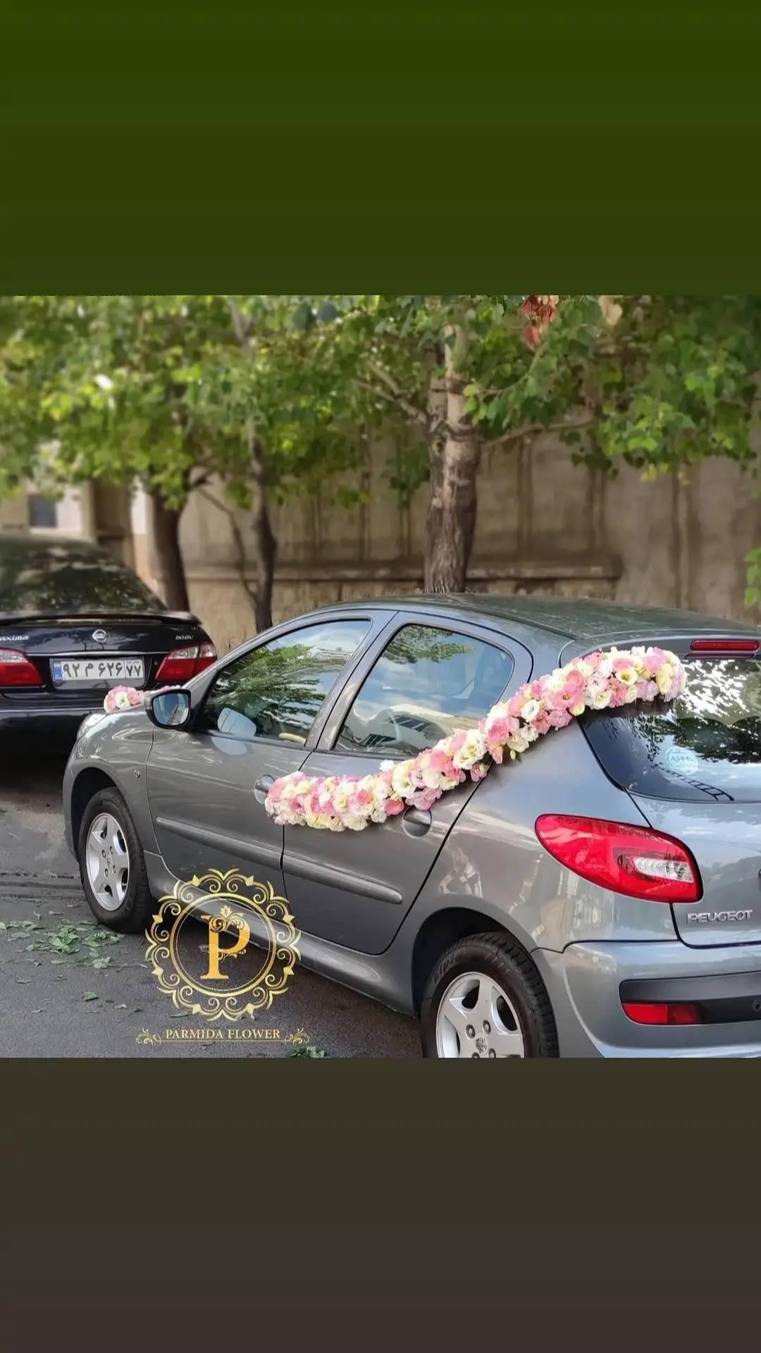 لیسینتوس