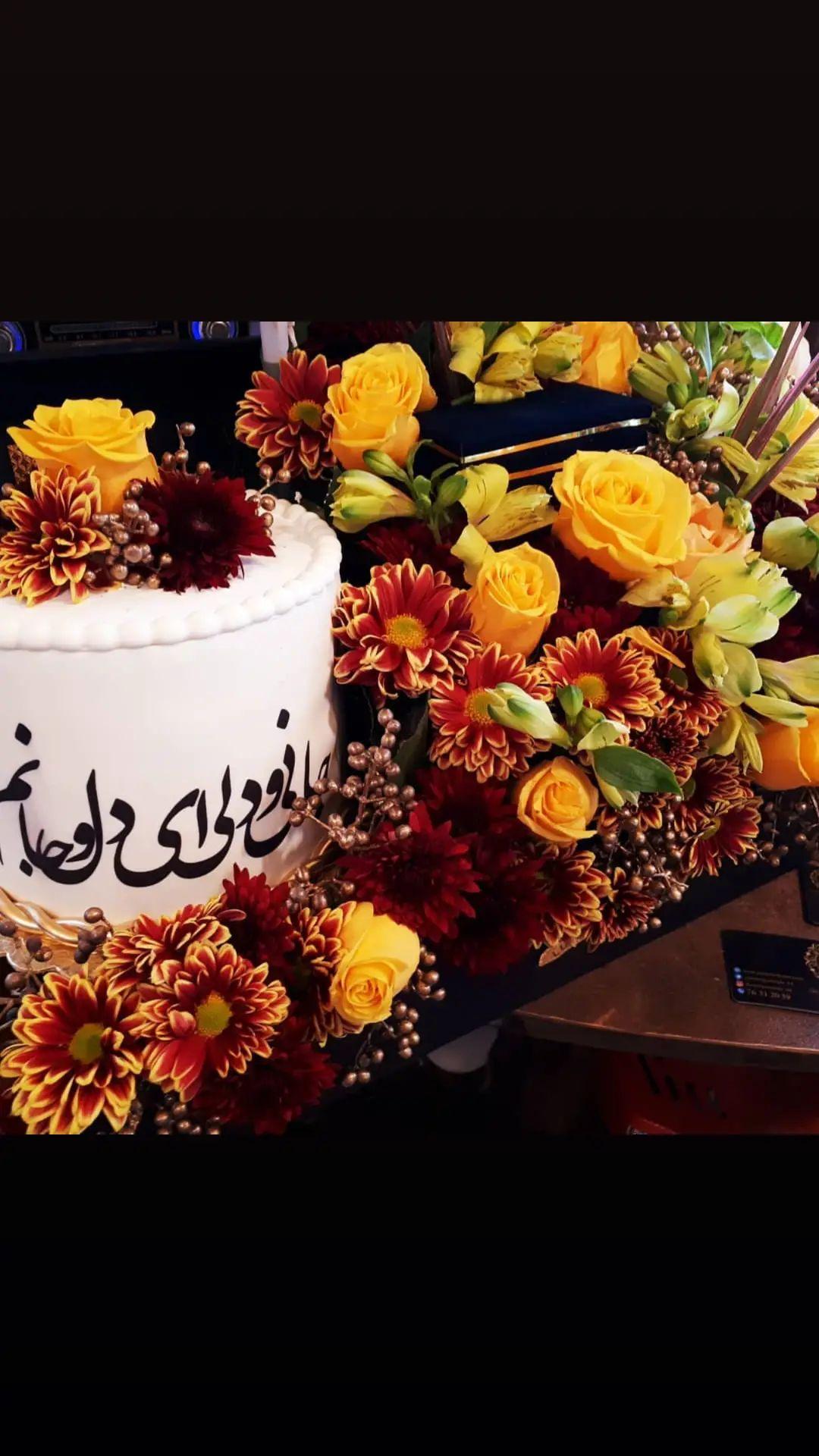 رز داوودی آلستر