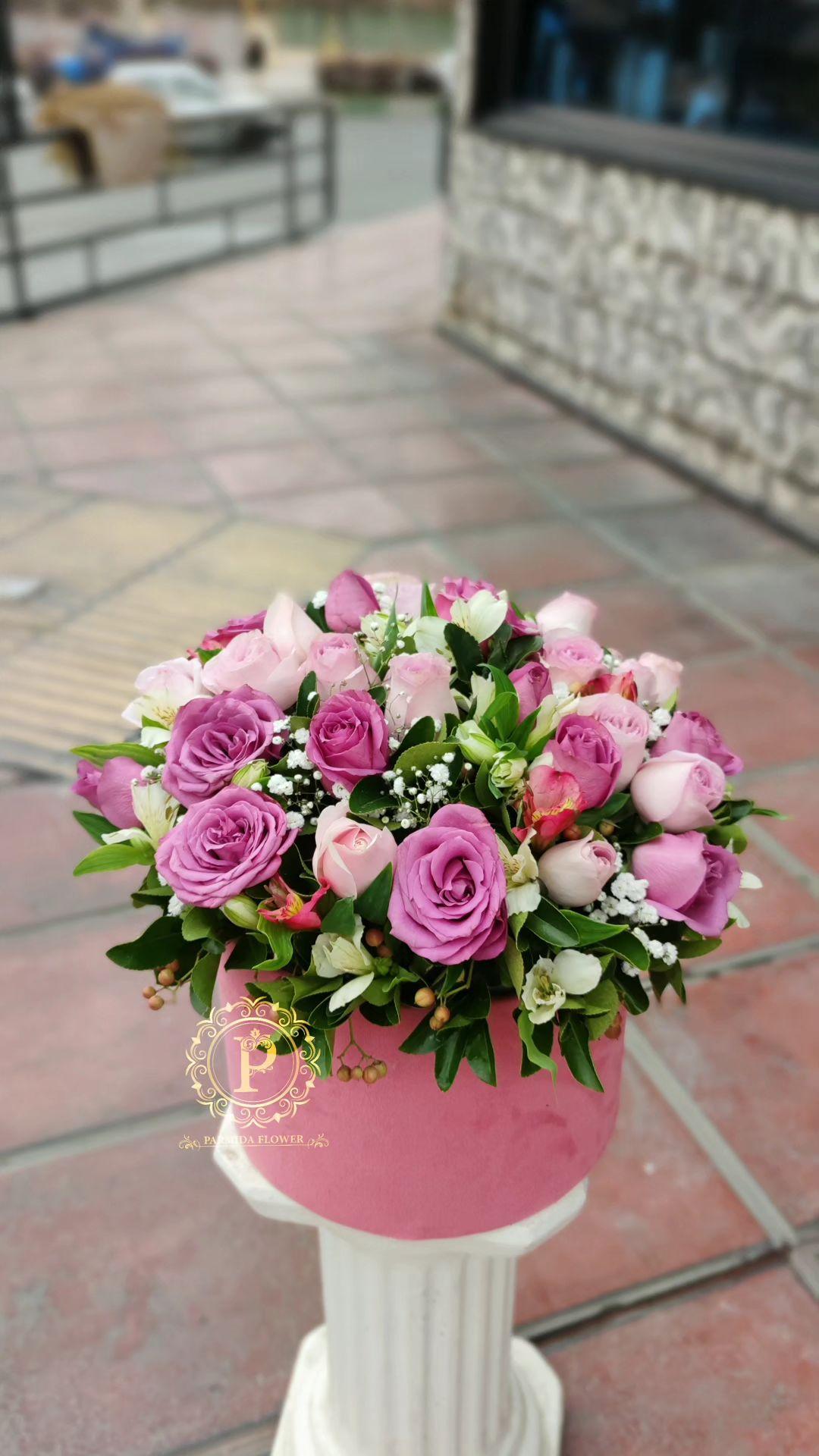 رز،آلستر،عروس