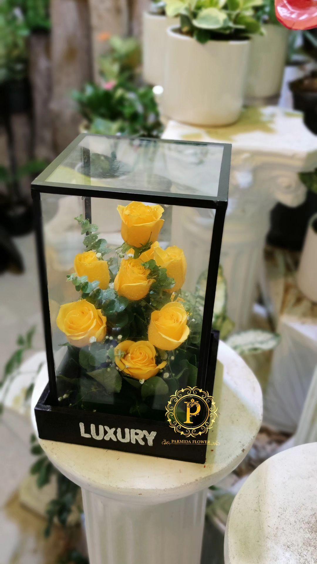 رز،اکالیپتوس