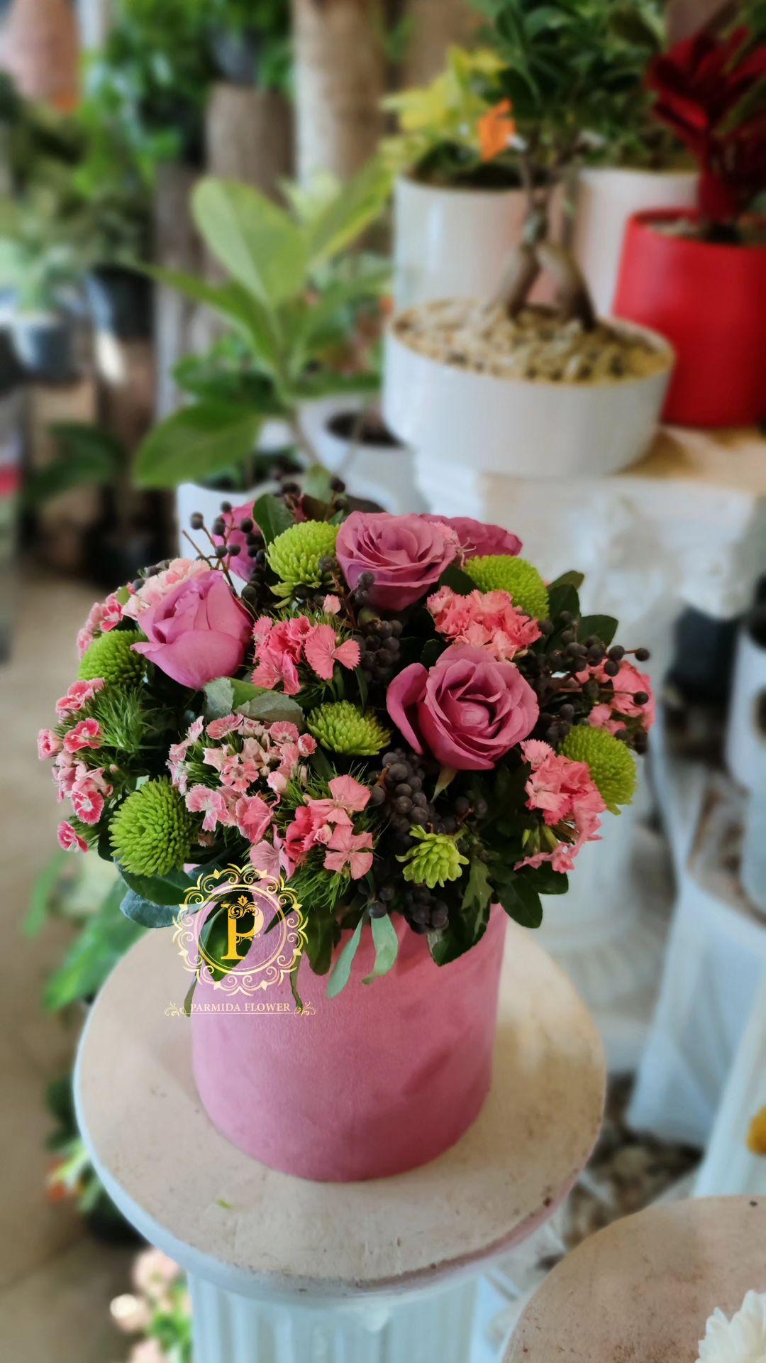 قلم فور،داوودی،رز