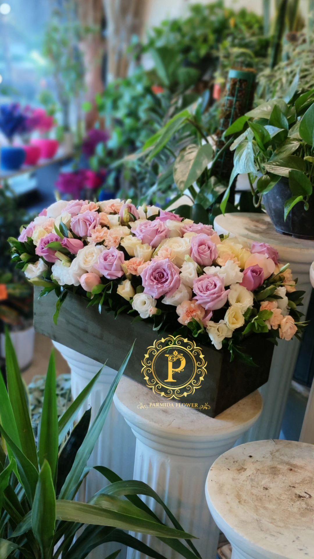 آلستر،رز،میخک