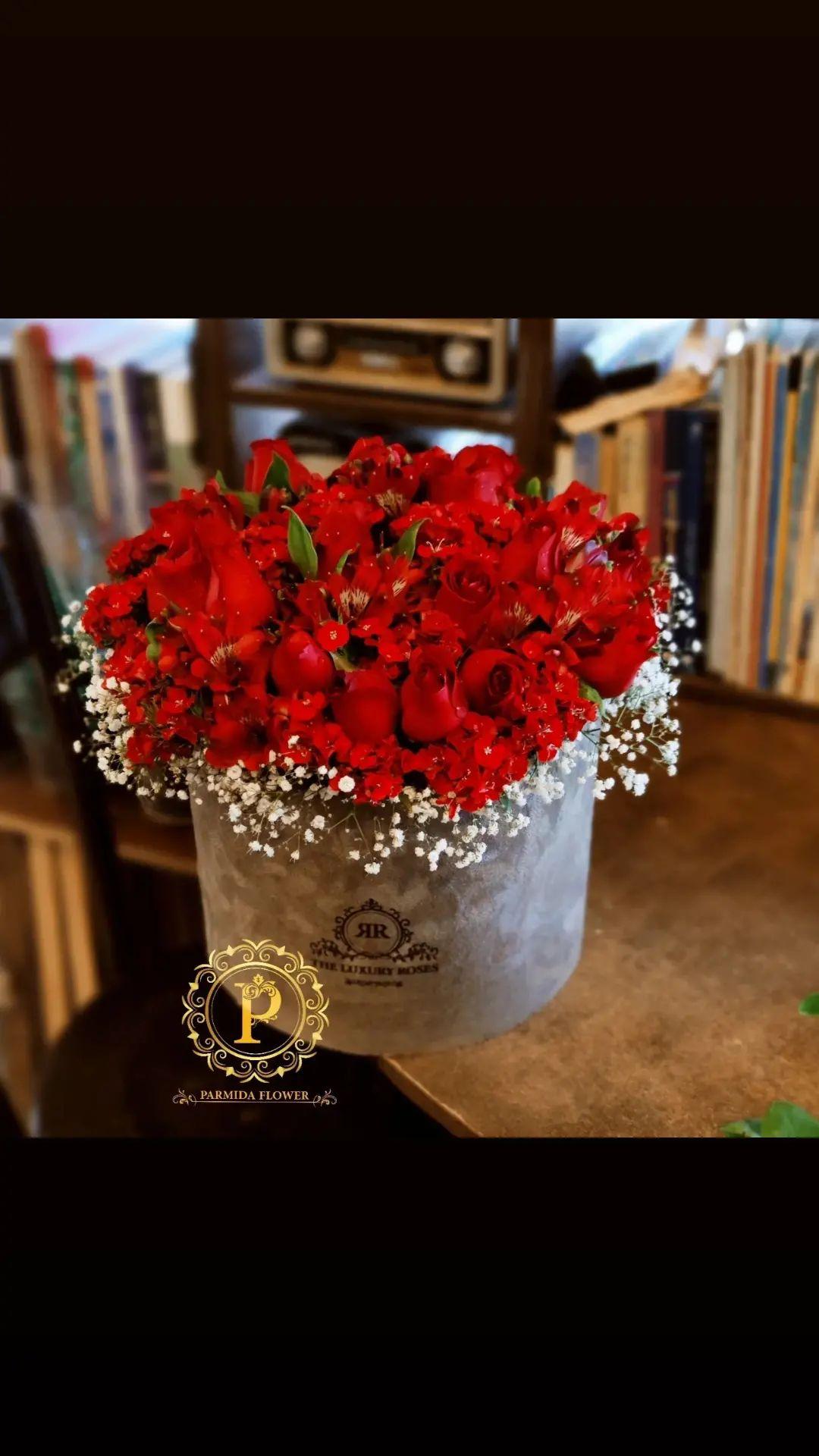 رز،آلستر،قلم فور،عروس