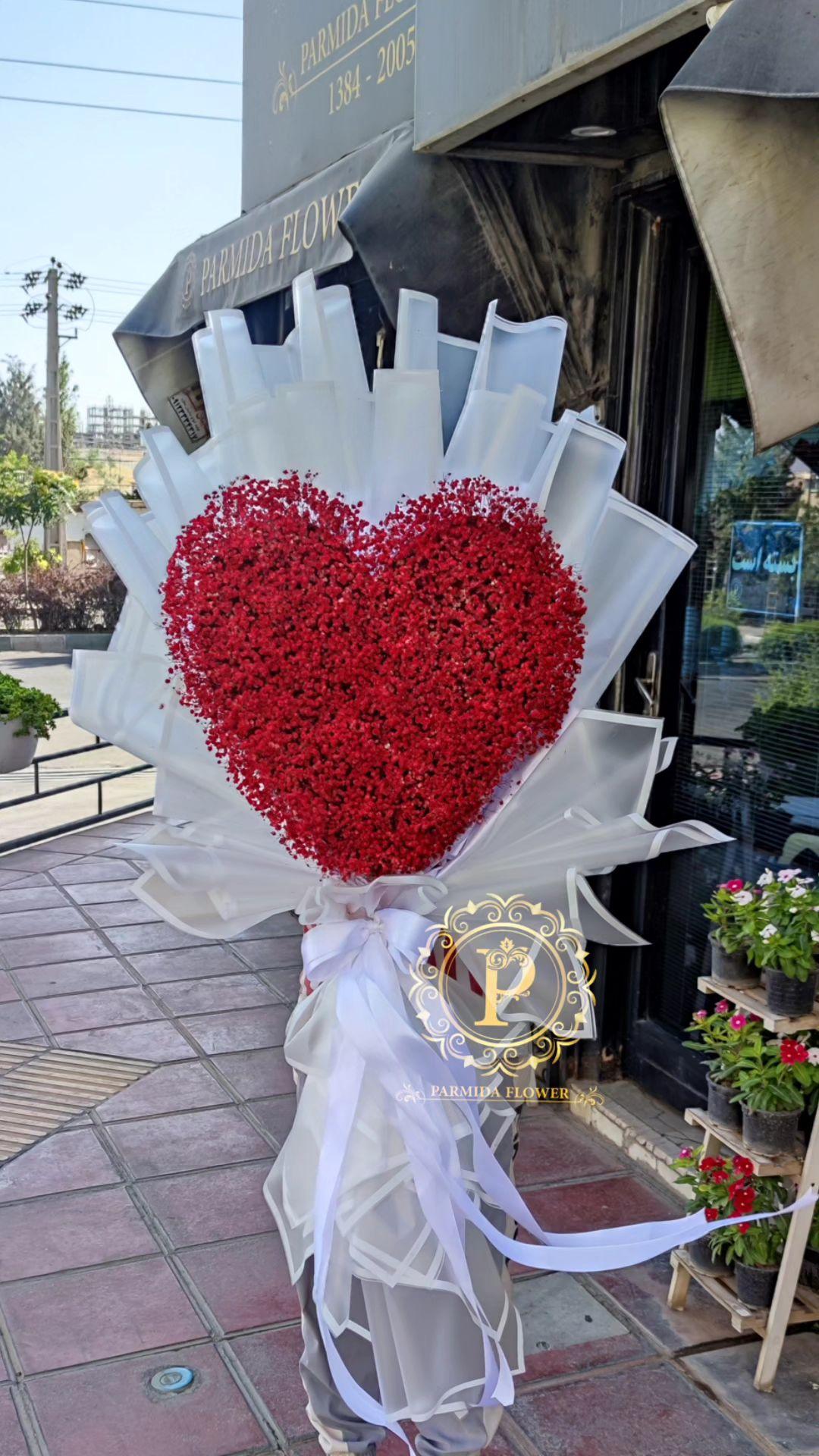 عروس رنگی،کاغذضدآب