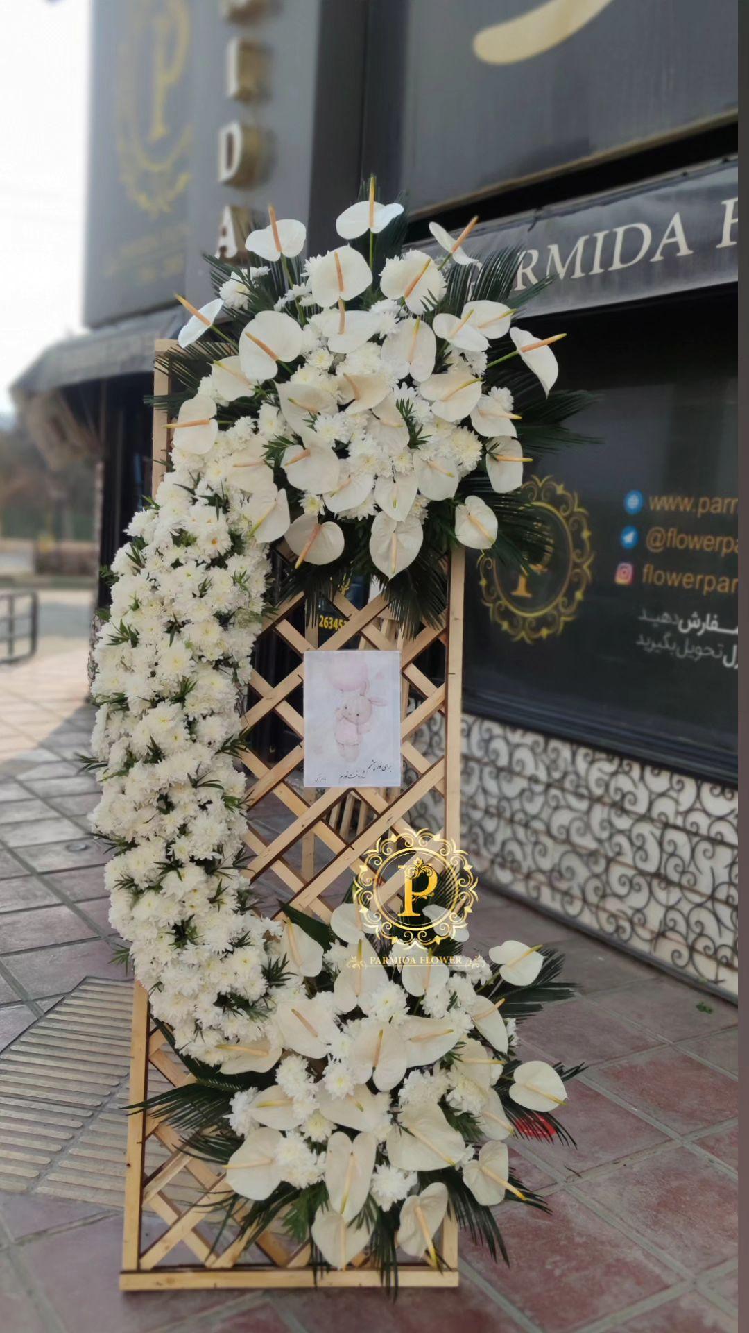 پایه مشبک<آنتریوم،داوودی  >