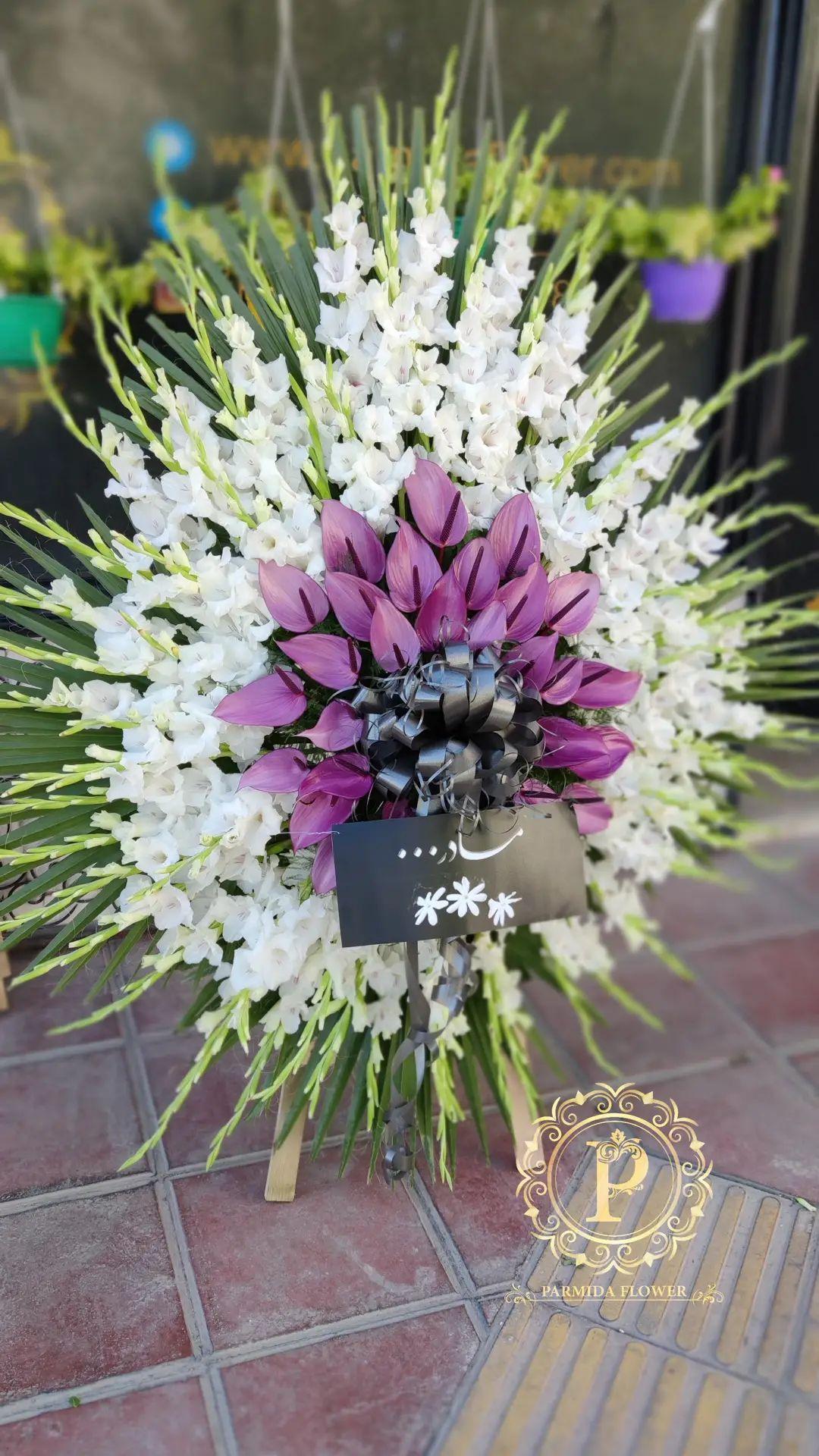 گلایل،آنتریوم