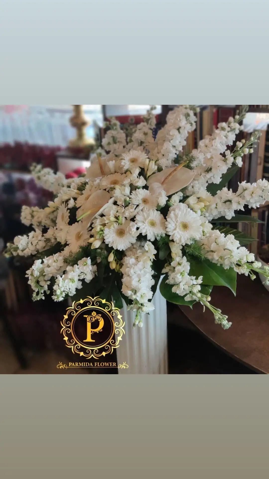 شب بو،ژربرا،فرزیا،