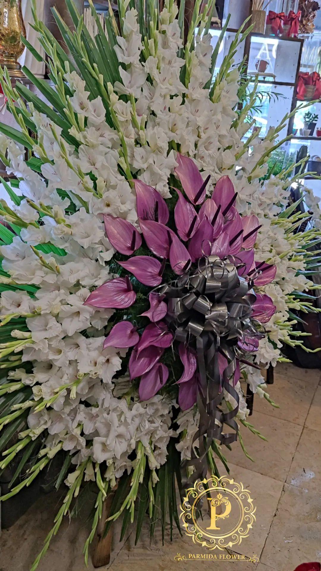 گلایل،آنتریوم