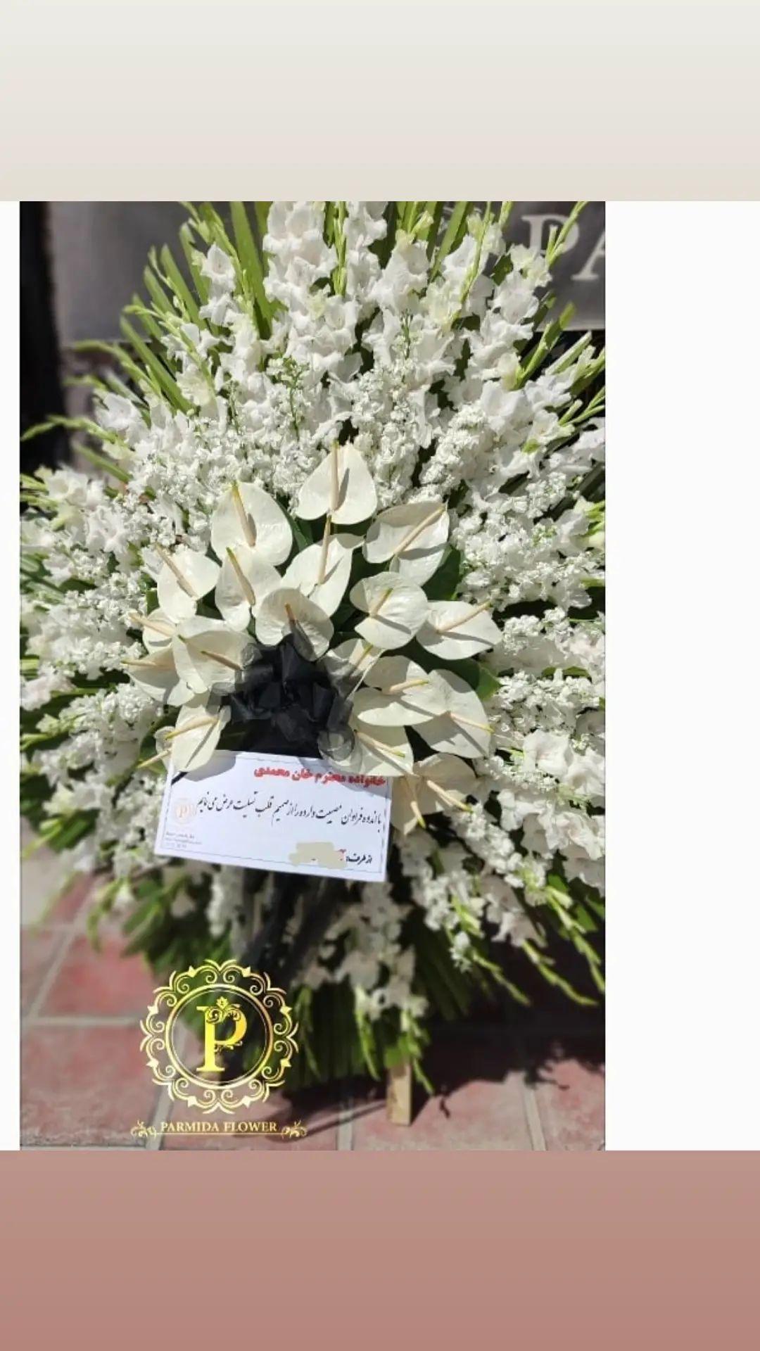 گلایل شب بو آنتریوم