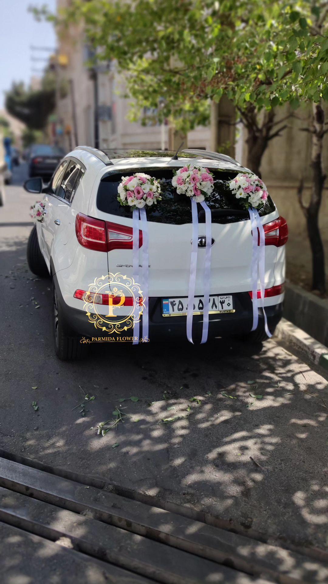 لیسینتوس،زنبوری