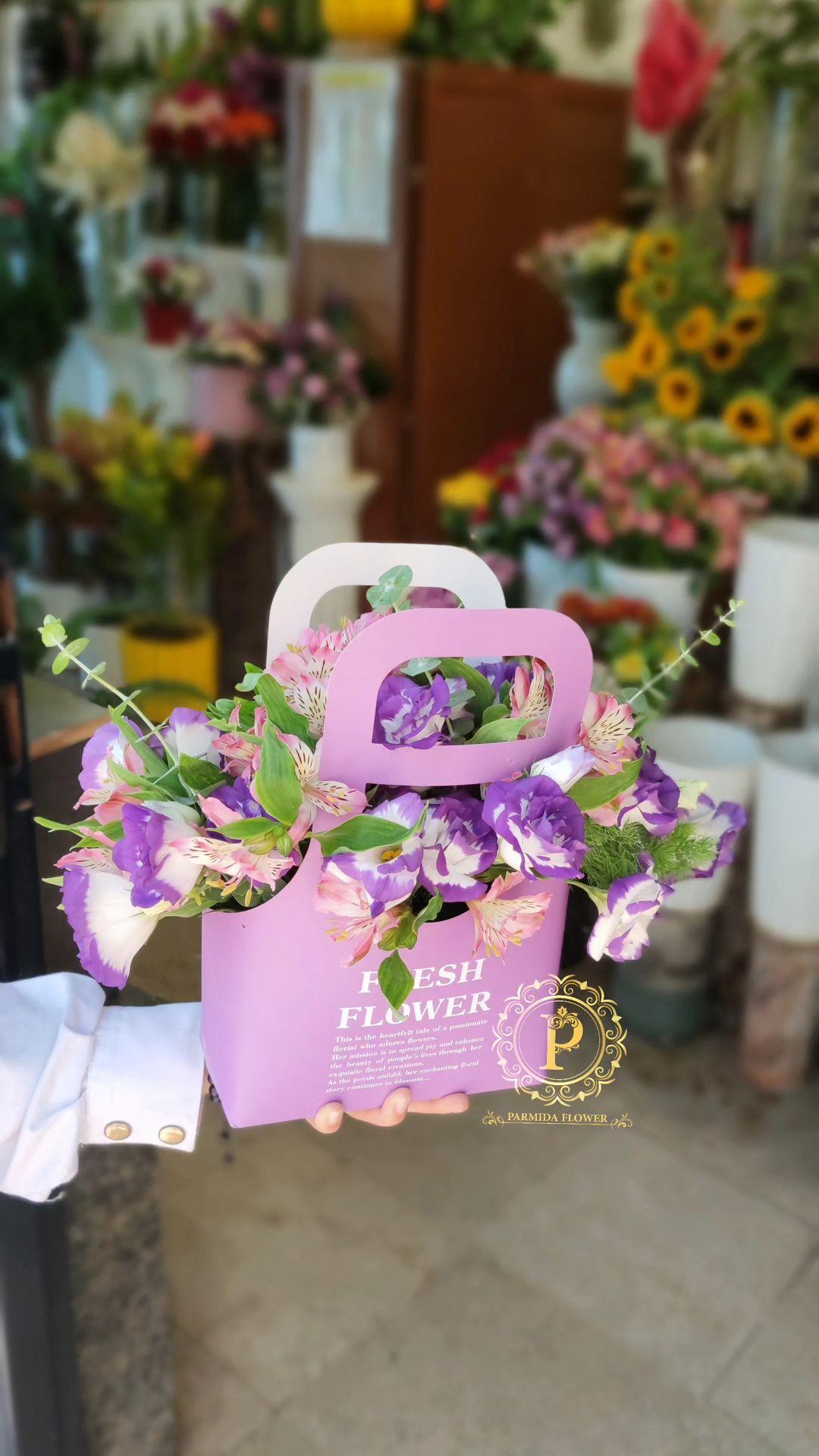 لیسینتوس،آلستر