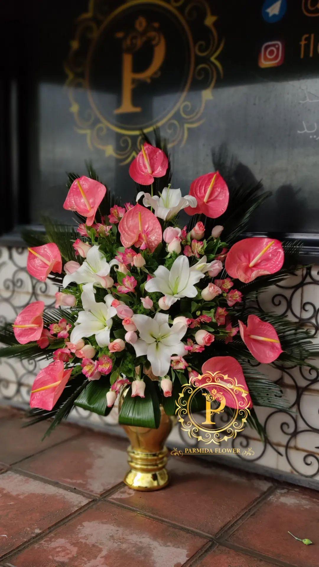 آنتریوم لیلیوم آلستر رز