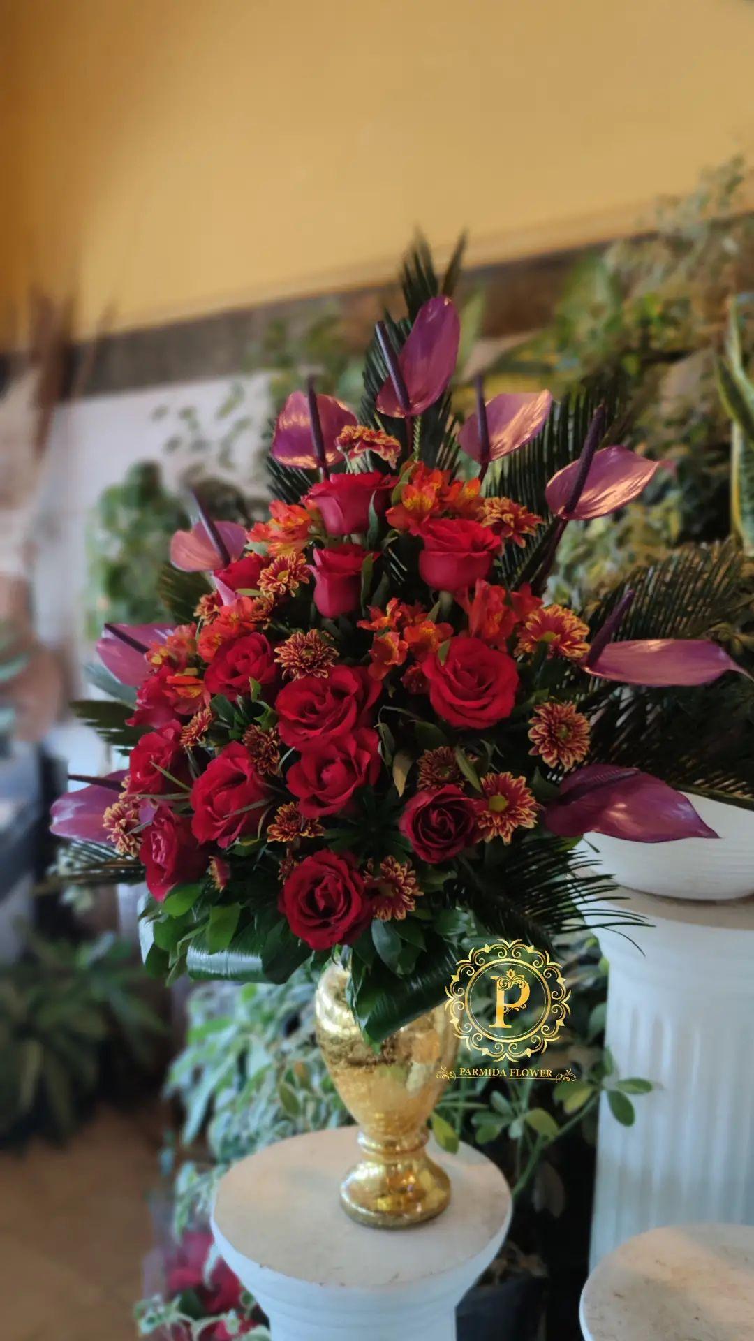 آنتریوم داوودی رز آلستر