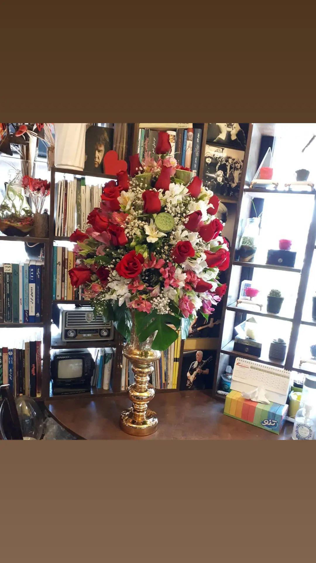 آلستر رز عروس پسته دریایی