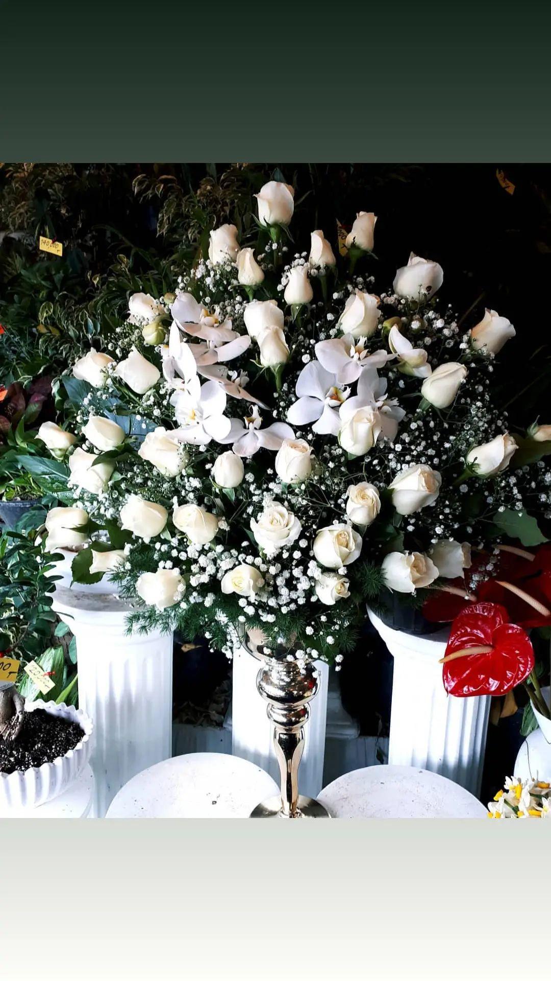 رز ارکیده عروس 