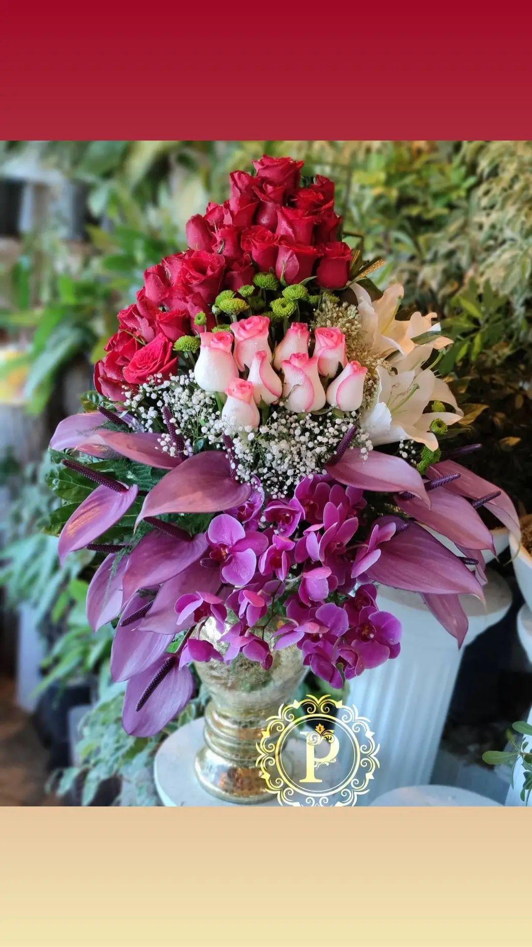 رز ارکیده داوودی آنتریوم لیلیوم 